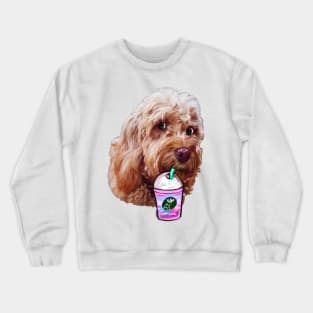 Cavapoo Cavoodle puppy dog iced coffee  - funny cute cavalier king charles spaniel poodle, puppy love Crewneck Sweatshirt